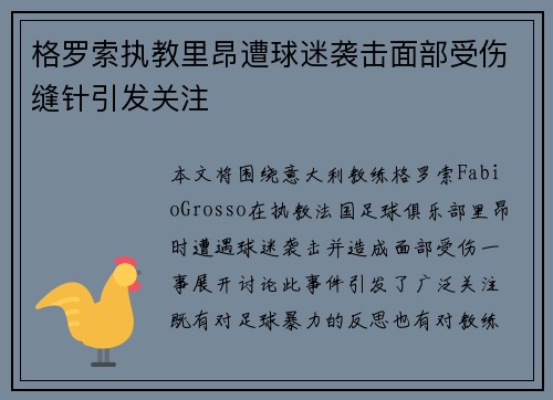 格罗索执教里昂遭球迷袭击面部受伤缝针引发关注